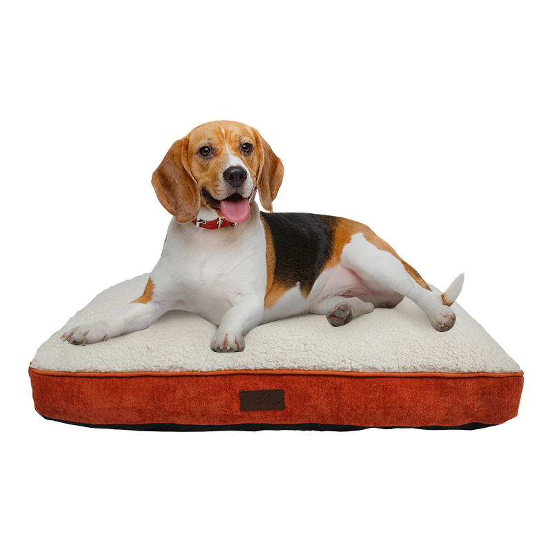 Custom Made Heavy Duty extra Large Xl Eco Friendly Luxury Washable Pet Cat Dog Bed for Large Dogs